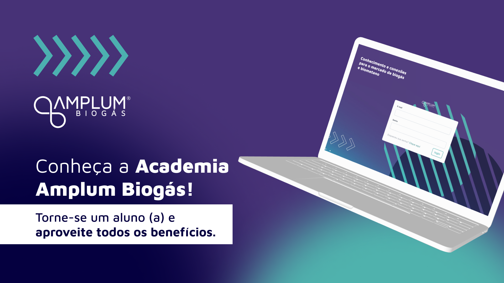 Tutorial Academia Amplum